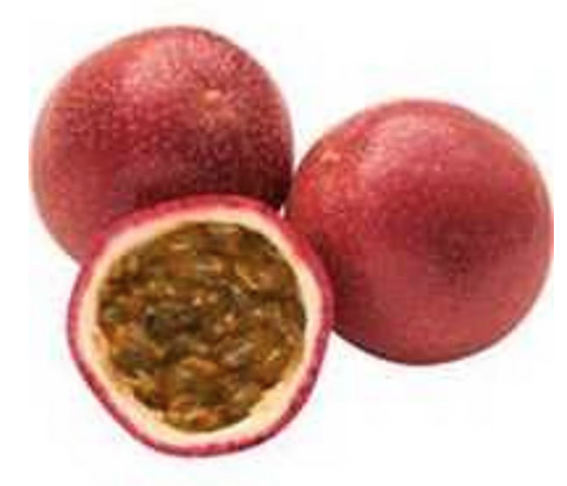 Panama passionfruit plant, large sweet juicy fruit, delicious and ...